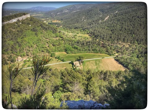 Mas du Grand Bausset in its natural environment