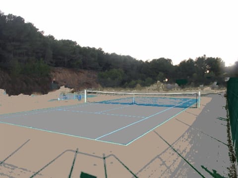 Sport court