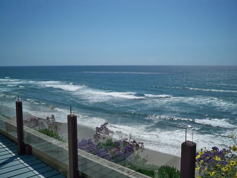 Your Oceanfront Views of the beach below