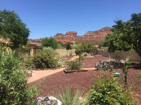 Beautiful Mountain View