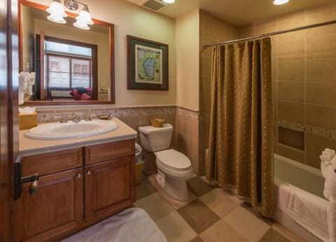 Combined shower/tub, jetted tub, hair dryer, towels