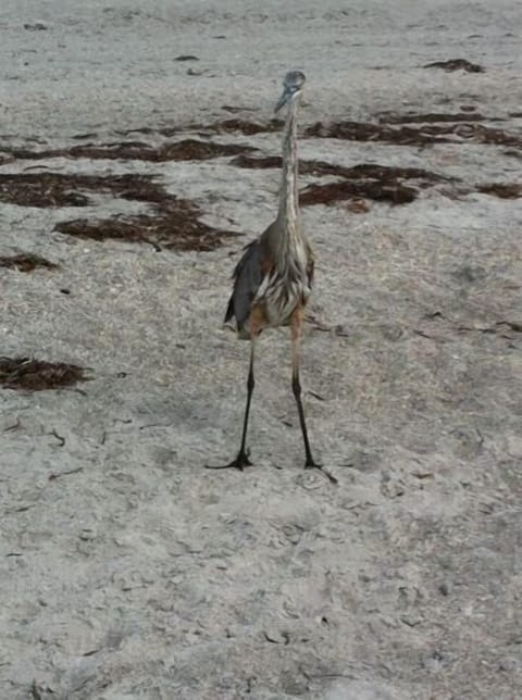 On the beach