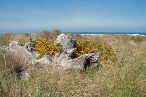 This large driftwood marks pathway to the beach. 