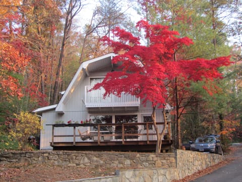Fall at Lake Lure