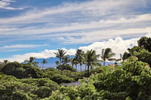 Mauna Kea is the Vista's backdrop to the east