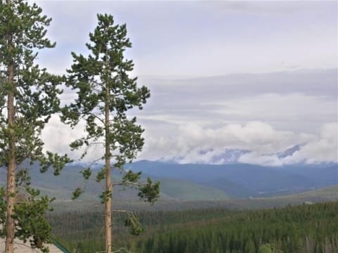This is the view from the living room/kitchen area!