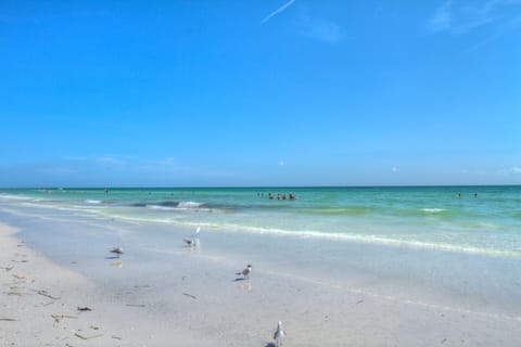 Sun loungers, beach towels