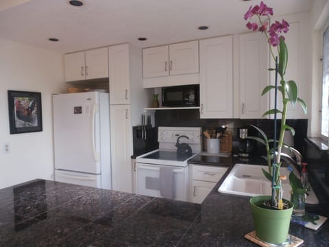 Well stocked kitchen with granite countertops