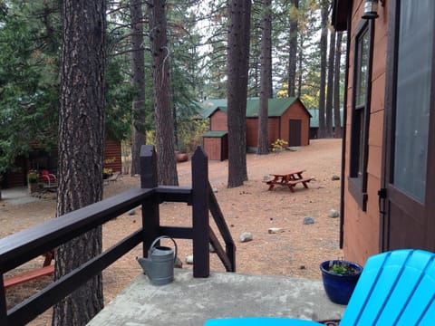 The cabin was part of the Penman Peak Lumber Company. View from porch.