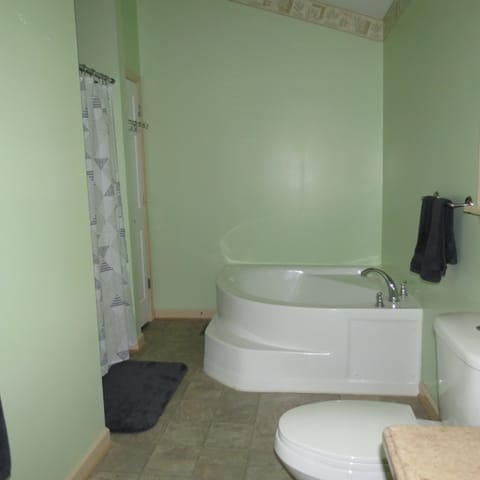 Master bath with double sink, shower and garden tub