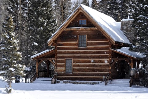 Michael Martin Murphey Cabin in the Snow