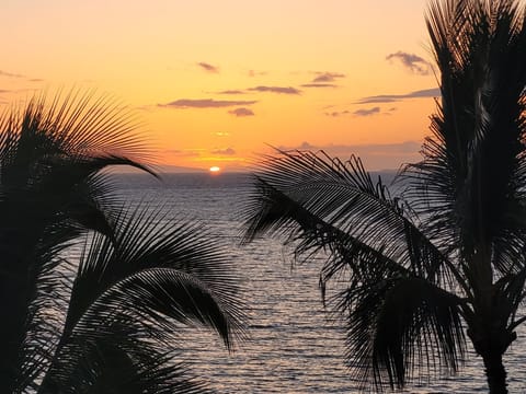 On the beach, sun loungers, beach towels