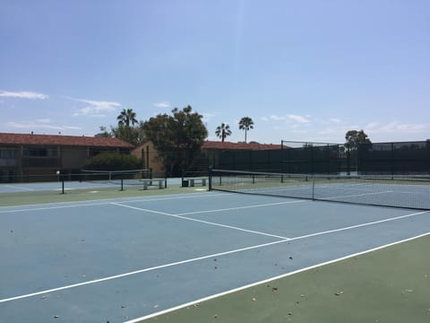 Sport court