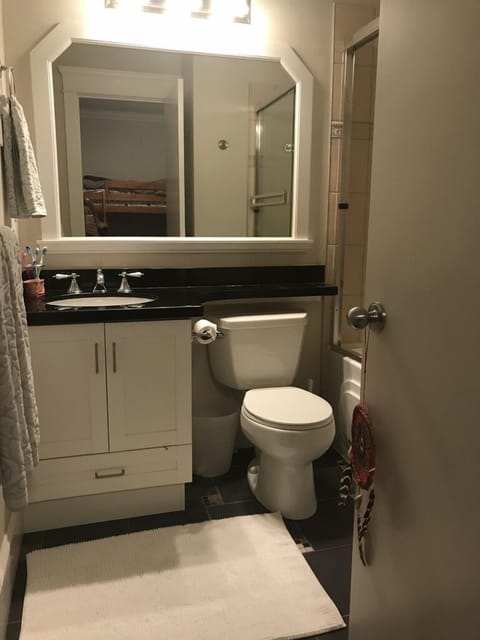 Combined shower/tub, jetted tub, hair dryer, towels