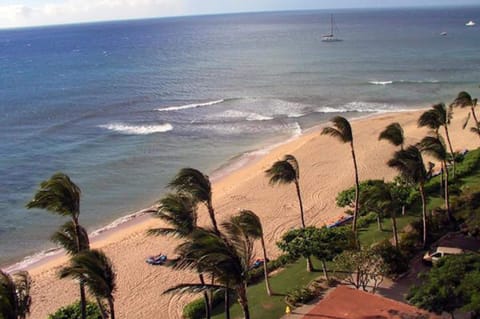 On the beach, sun loungers, beach towels