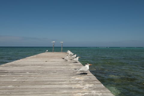 On the beach, beach towels