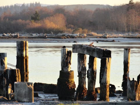 Remnants of old buildings and docks are seen along Hwy 101 in Coos Bay