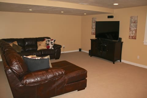 TV, fireplace, video games, DVD player