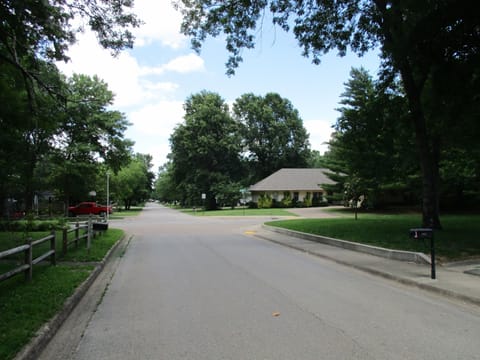 Established neighborhood full of 60-70 foot tall trees and quiet older couples.