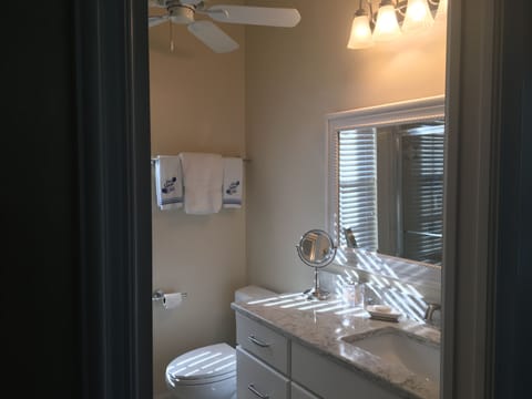 Combined shower/tub, hair dryer, towels