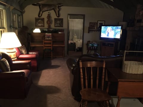 Smart TV, fireplace, DVD player, books