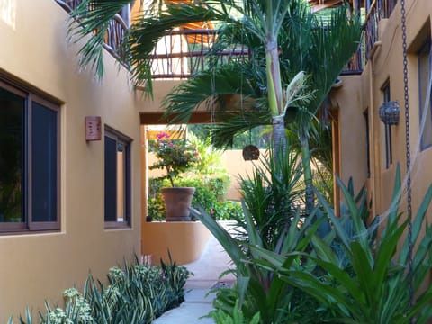 Walkway to the beach between the two casas.