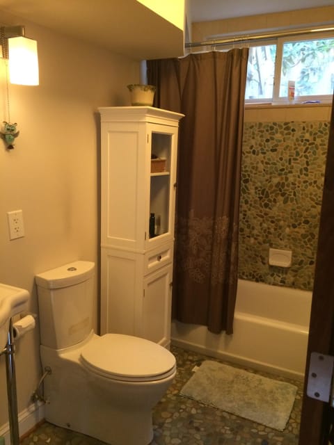 Combined shower/tub, hair dryer, towels, soap