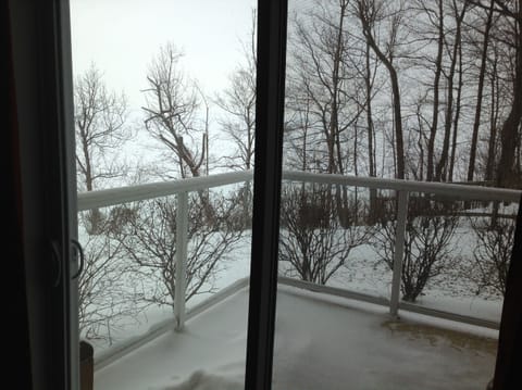 Winter view from balcony