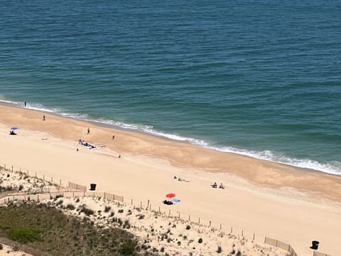 On the beach, sun loungers