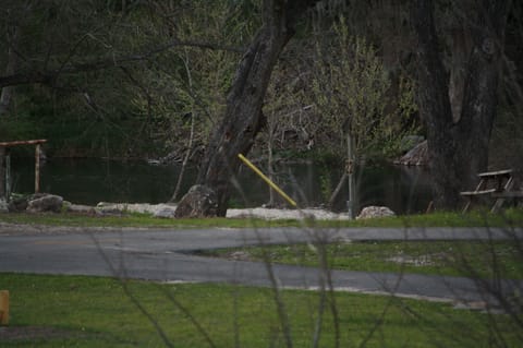 Closer view of the river from the front porch.