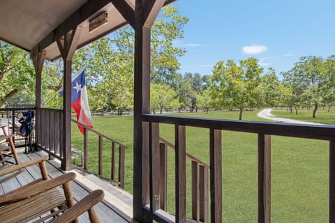 A hundred pecan trees cover the property here, and they're fantastic for shade and bird watching!