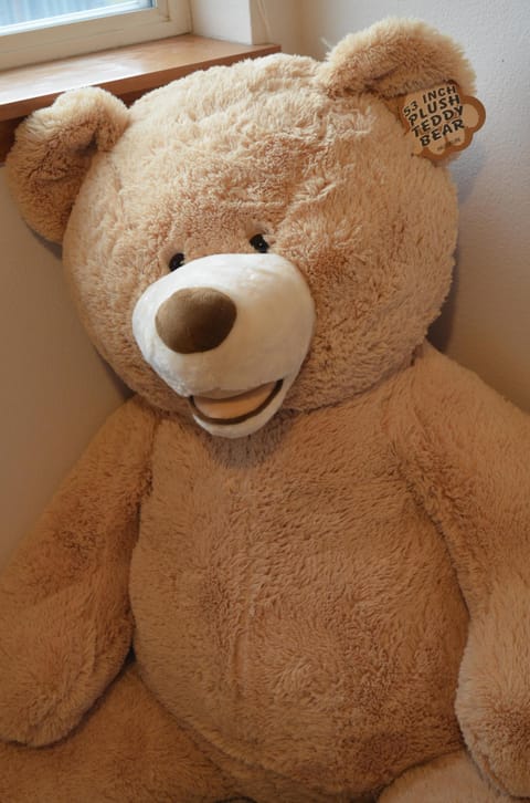 You'll be beary comfortable here! Trust me! -Bear