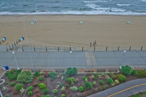 On the beach