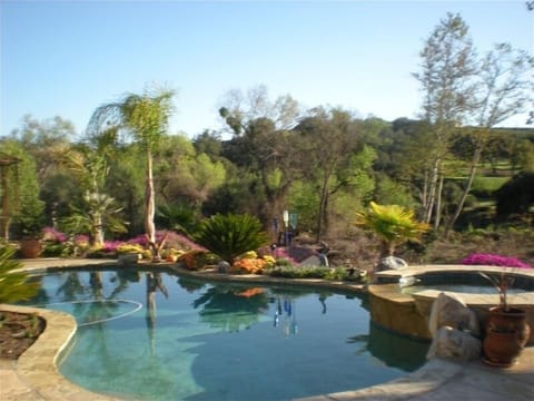 Pool and a portion of the back yard