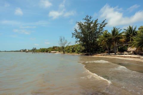 On the beach, sun loungers, beach towels