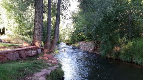 yard, hike, play creekside all-day
for info 562 - 508-6555