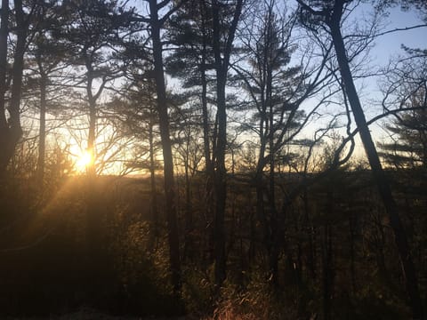 View of the sunset at cabin