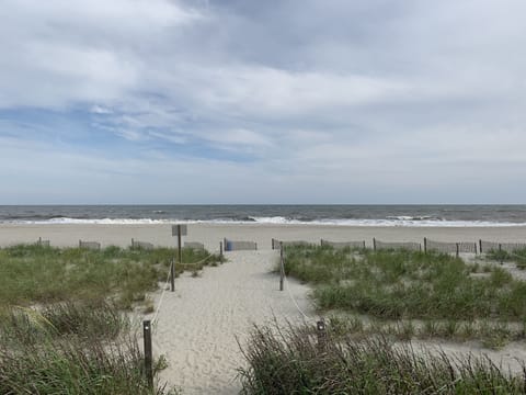 Beach nearby, sun loungers