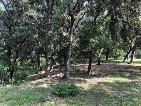 Nothing on the schedule? Sometimes a lazy, shady spot is just the ticket!