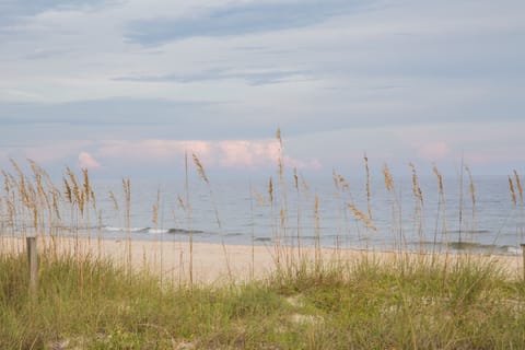 Beach nearby