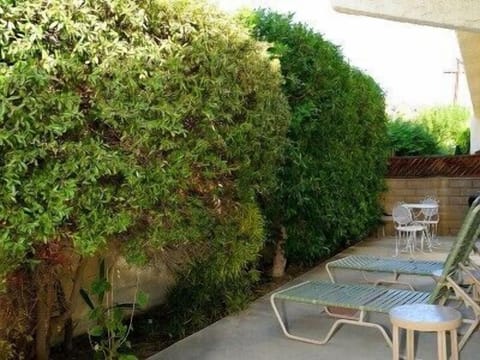 Back Patio with Table for 2, BBQ and Chaise Lounges