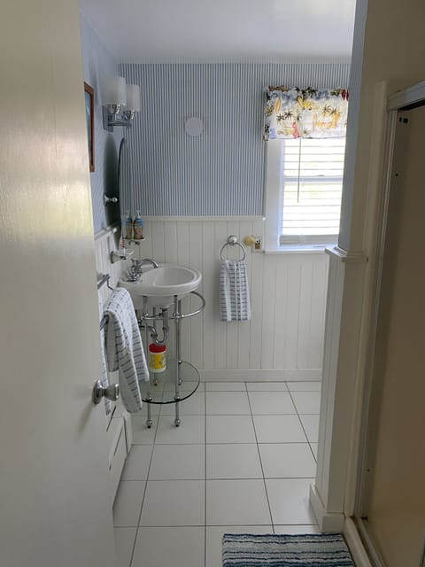 Combined shower/tub, hair dryer, toilet paper