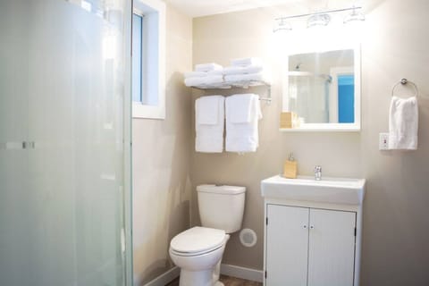 Combined shower/tub, hair dryer, towels, soap