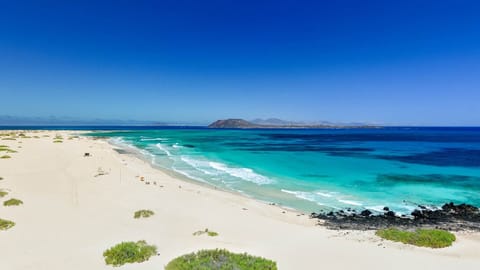 Beach nearby, sun loungers, beach towels