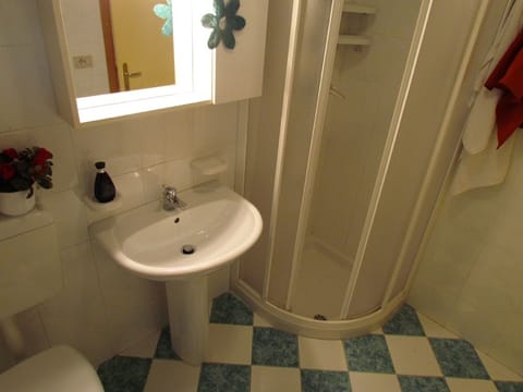 Combined shower/tub, bidet