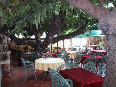 Dine under the mulberry tree at Le Provencal
