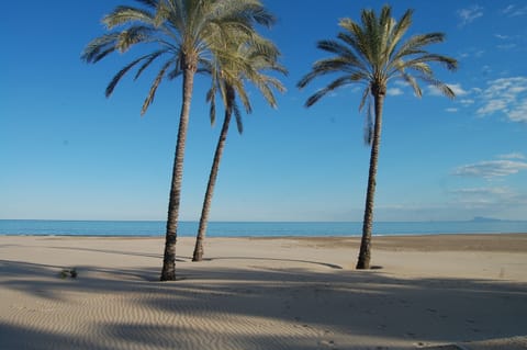 Beach nearby, sun loungers