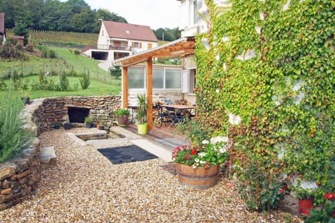 View beyond house to vineyards.  Pond in foreground.