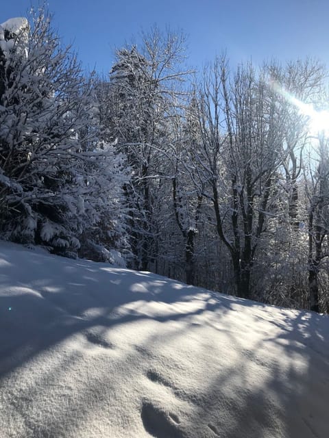 Snow and ski sports