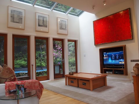 TV room with TV exposed